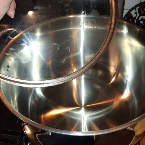 22qt Princess house stock pot